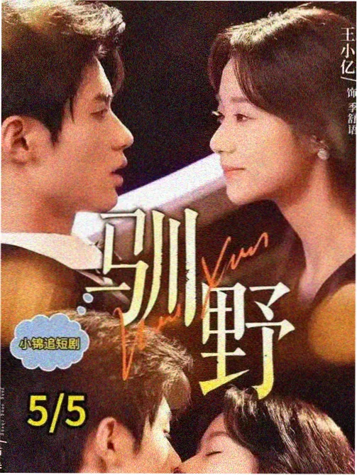 分拣详情模态框中的观察卡封面